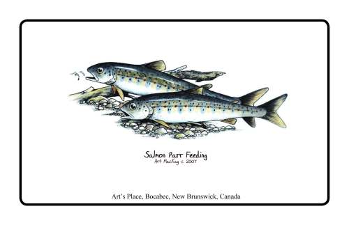 salmonid-prints_page_14